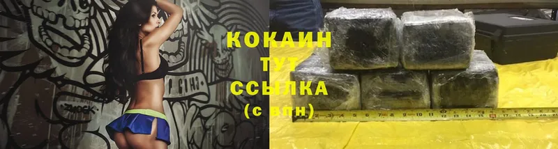 Cocaine FishScale  сколько стоит  Саяногорск 